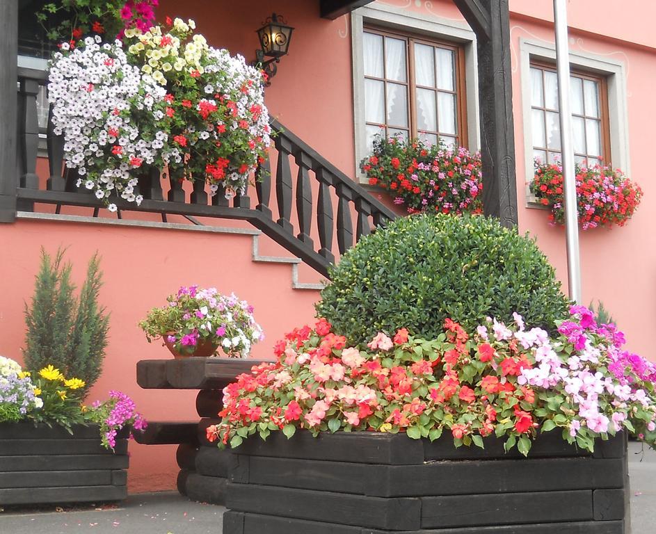 Hotel Schwarzes Ross Schwarzach am Main Exterior photo